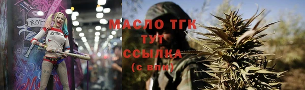 индика Богданович